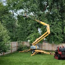 Best Tree Disease Treatment  in Cusseta, GA